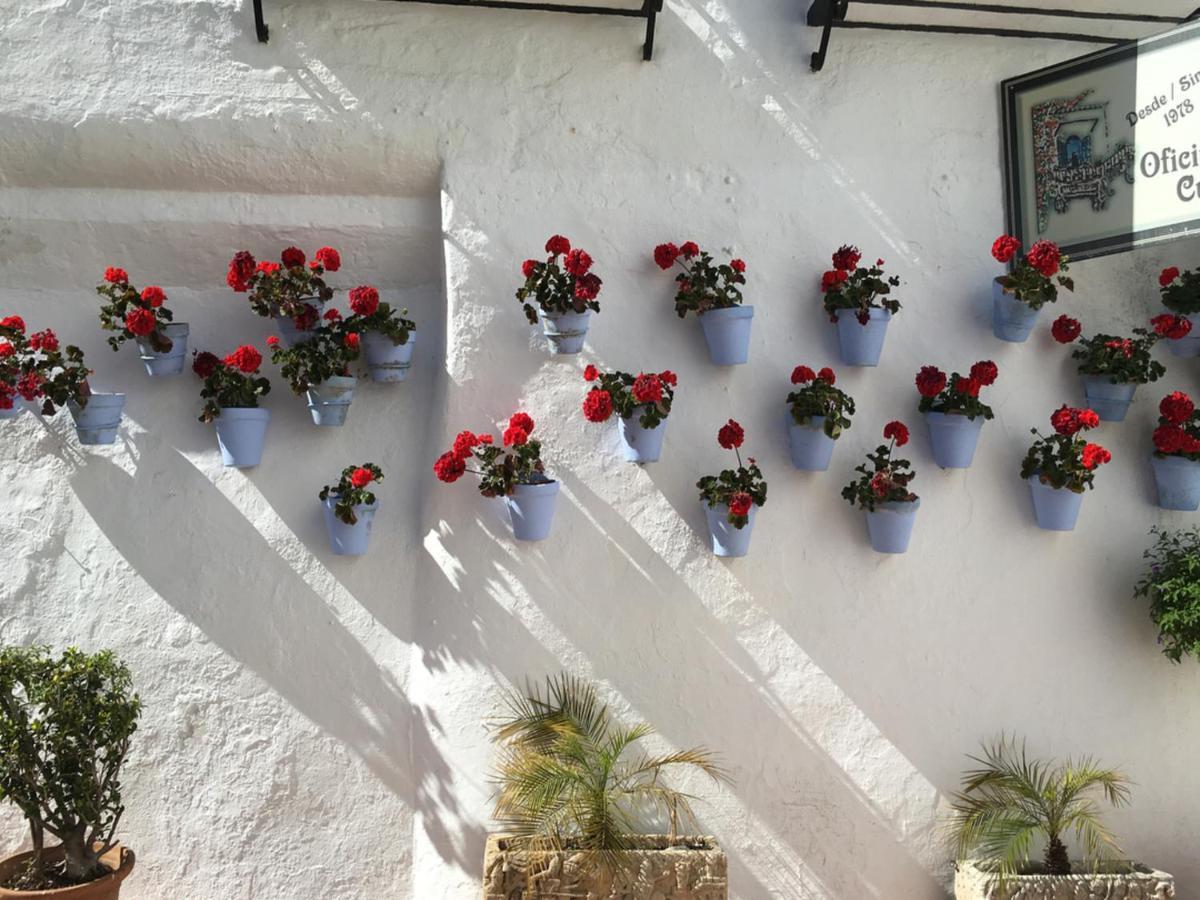 Erisa Ib Carihuela - Torremolinos Daire Dış mekan fotoğraf